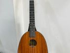 Ukulele Guitar