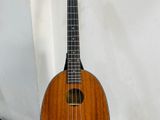 Ukulele Guitar