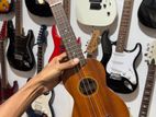 Ukulele guitar