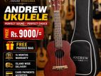 ukulele guitar