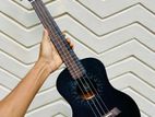 Ukulele Guitar