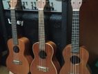 Ukuleles