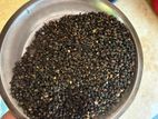 உளுந்து( black gram)