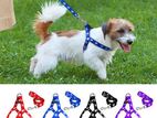 Ultimate Control Dog Walking Harness Kit