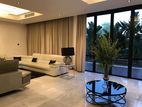 Ultra Luxury Modern Fully Furnished House For Rent in Colombo 3