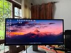 Dell Monitor 29"