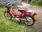 Umasaki 48cc 2010