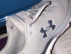 Under Armour - Grey Shoes(Charged Gemini)