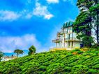 Rooms for Rent Nuwara Eliya