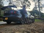 Universal Gt Wing Spoiler