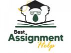 University Assignment Help