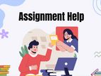 University Assignment Help