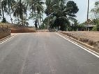 උණවටුන සංචාරක කලාපයට ළඟින් ඉඩම්