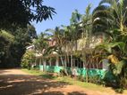 Upstair Building Rent Peradeniya