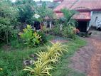 Upstairs of Two Storey House for Rent Gampaha Rathupaswala