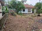 Land For Sale In Ragama