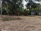 Kochchikade Land for sale