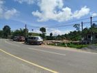 Land for Sale Hatton