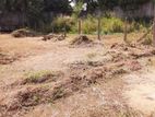 Land for Sale in Nittambuwa