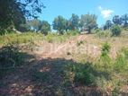 Land for Sale Panama
