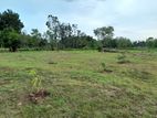 Land with House for Sale Kataragama
