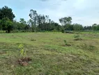 Land with House for Sale Kataragama