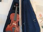 Violin