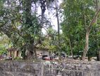 Land for Sale - Thudalla