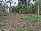 Land for Sale in Amunumulla, Welimada