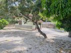 Land for Sale Kaluwanchikudy