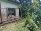 Land for Sale - Dodangoda