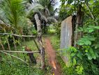 Land with House for Sale | Pavatkulamtown
