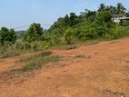 Land for Sale - Gonapala