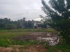 Urgent Sale - Looking to sell a Land on Pannipitiya-Malabe rd