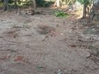 Residential Land for Sale in Kurunegala (Henamulla)