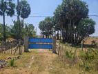 Land for Sale in Kilinochchi