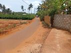 Land for Sale in punnalaikkadduvan
