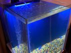 Nano Design Fish Tank