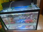 Us Bsump Filter System for Fish Tanks