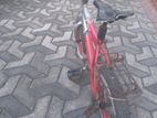 Used Bicycle