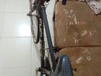 Used Bicycle