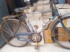 Used Bicycle