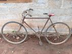 Used Bicycle