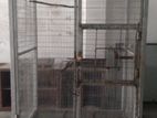 Used Bird Cage