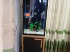 Used Box Type Fish Tank