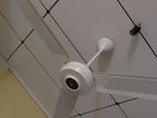 Used Ceiling Fan