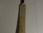 Cricket Bat