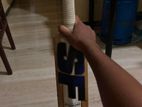 Cricket Bat