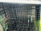 Dog Cage