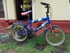 Used DSI Bicycle